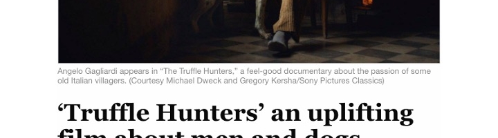 ‘Truffle Hunters’ an uplifting film about men and dogs