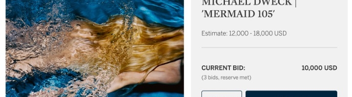 Michael Dweck "Mermaid 105" in Sotheby's Photographs April 2020 Auction