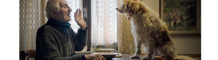 Oscar hopeful ‘The Truffle Hunters’ is a dog-lover’s delight