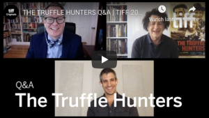 THE TRUFFLE HUNTERS Q&A | TIFF 2020