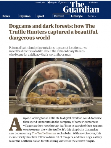 Dogcams and dark forests: how The Truffle Hunters captured a beautiful, dangerous world
