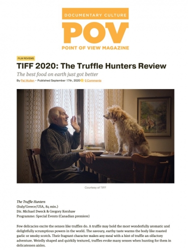 TIFF 2020: The Truffle Hunters Review
