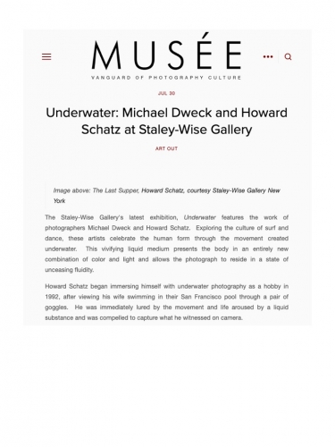 Underwater: Michael Dweck and Howard Schatz at Staley-Wise Gallery