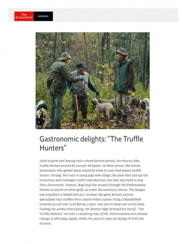 Gastronomic delights: “The Truffle Hunters”