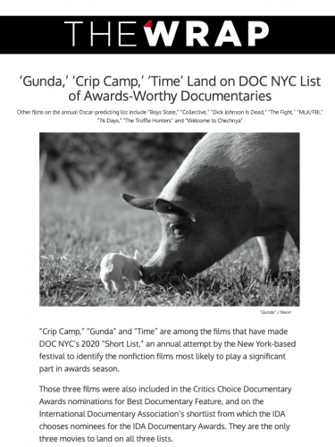 ‘Gunda,’ ‘Crip Camp,’ ‘Time’ Land on DOC NYC List of Awards-Worthy Documentaries
