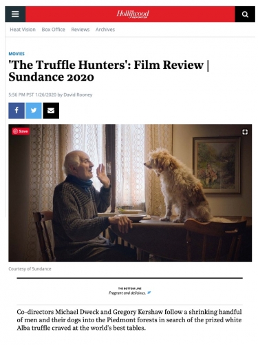 'The Truffle Hunters': Film Review | Sundance 2020