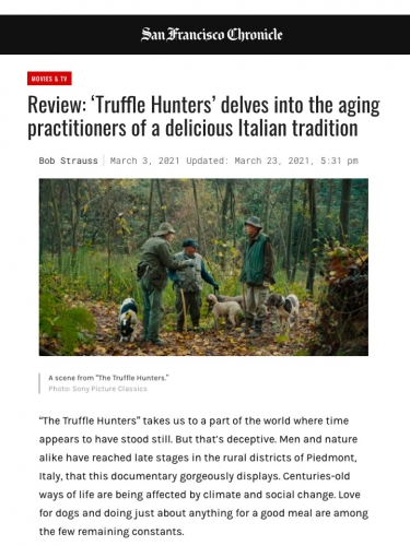 Review: ‘Truffle Hunters’ delves into the aging practitioners of a delicious Italian tradition
