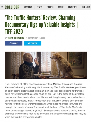 ‘The Truffle Hunters’ Review: Charming Documentary Digs up Valuable Insights | TIFF 2020