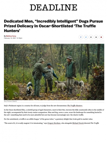 Dedicated Men, “Incredibly Intelligent” Dogs Pursue Prized Delicacy In Oscar-Shortlisted ‘The Truffle Hunters’